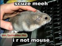 not-ure-mouse