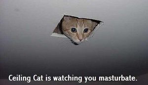 111307_ceiling_cat